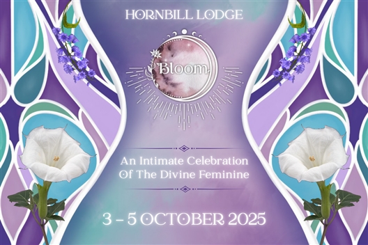 Bloom Festival 2025